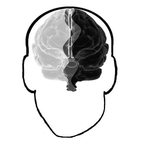 Evolution of The Gray Matter Lab 1 Gray Matter Logo Copy for Copywright