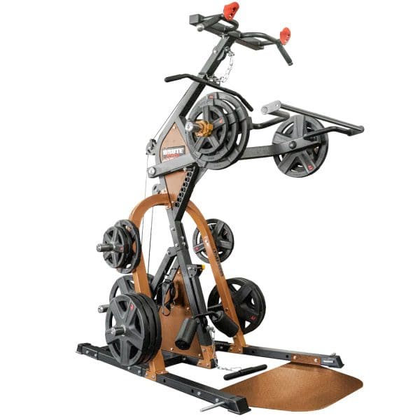 Powertec Workbench Levergym - The BEST Complete Guide - 2026 10 RapT