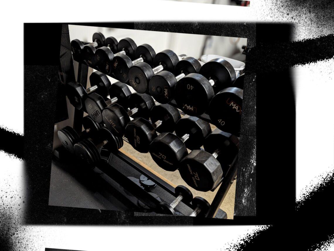 The Garage Gym Basics DumbbellsV2 min
