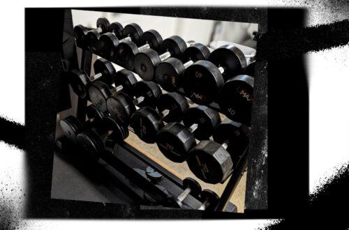 The Garage Gym Basics DumbbellsV2 min