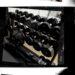 The Garage Gym Basics DumbbellsV2 min
