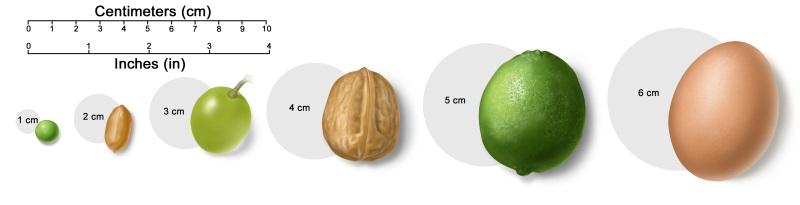 Ball Size