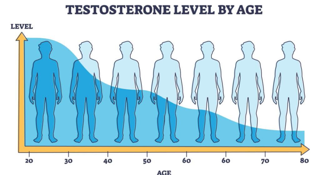 https://www.centrichealth.ie/news/understanding-testosterone-are-your-levels-normal-for-optimal-mens-health/