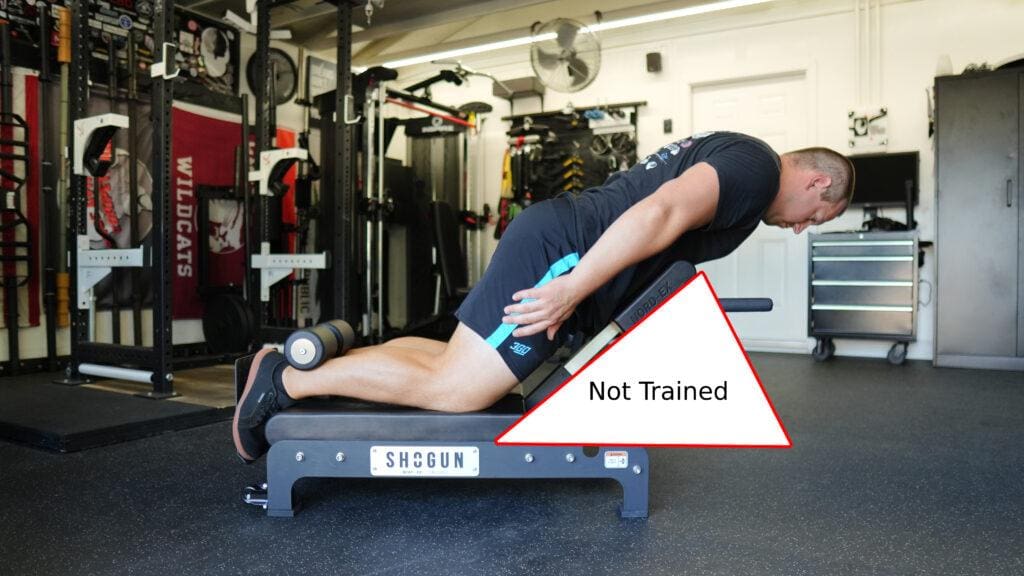 ShogunNordEx NotTrainedAngles