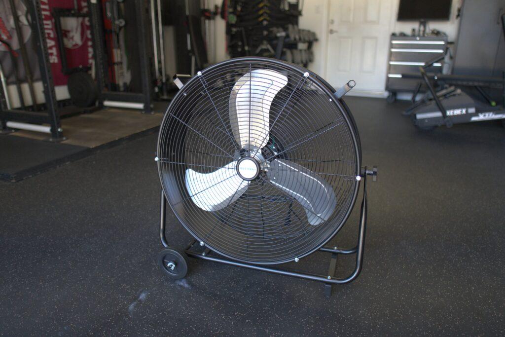 Fan