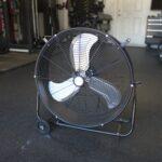 Fan