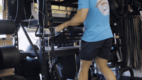 BootySproutPro SetUp GIF