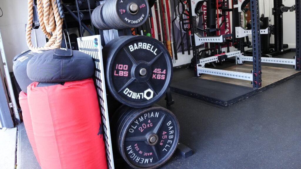Buy THESE Weight Plates For Your Home Gym In 2026 11 GrayMatterLabv6 Weights