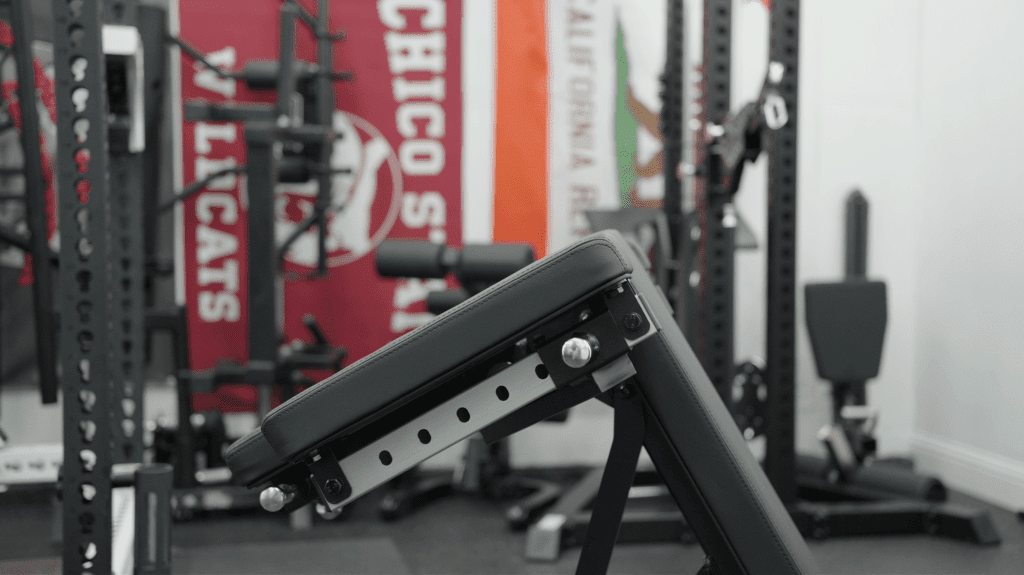 FreakAthleteABX BicepAngles