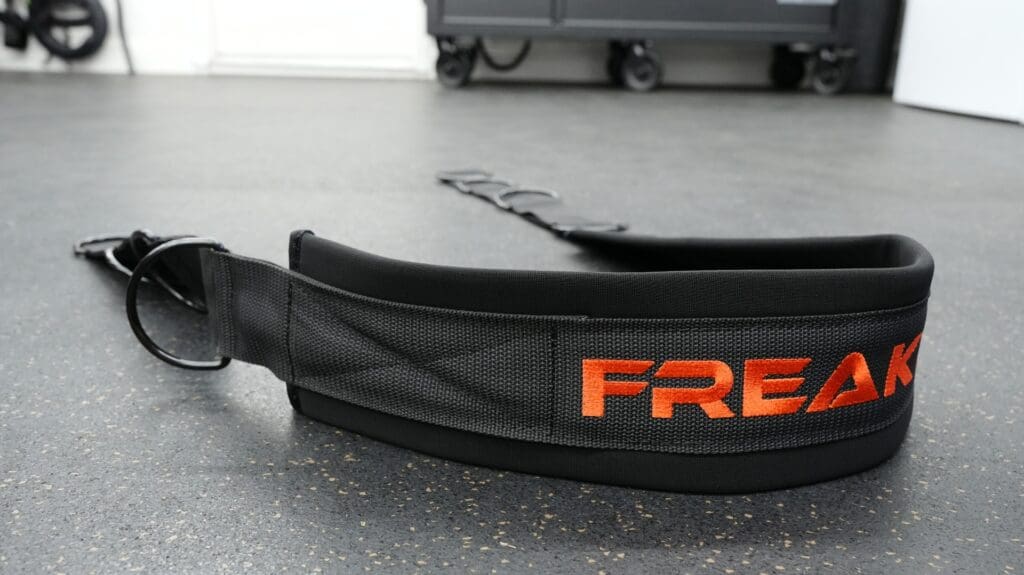 FreakAthleteBeltSquatBelt Resized